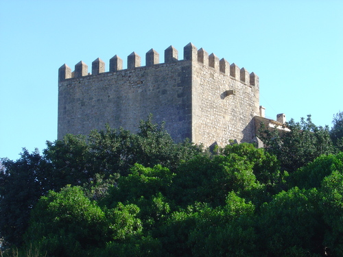 Photo landscape